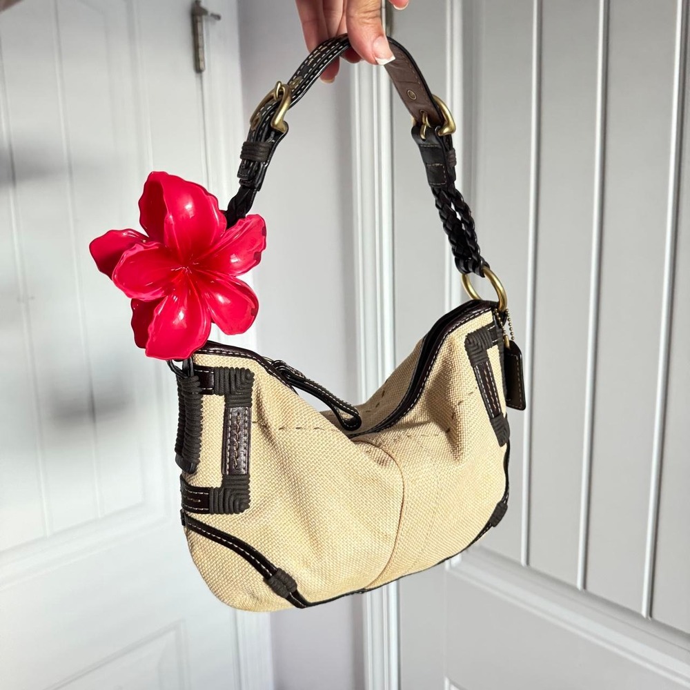 Coach hobo bag